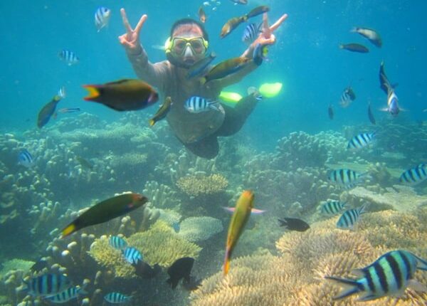 Tour Karimunjawa dari Jakarta